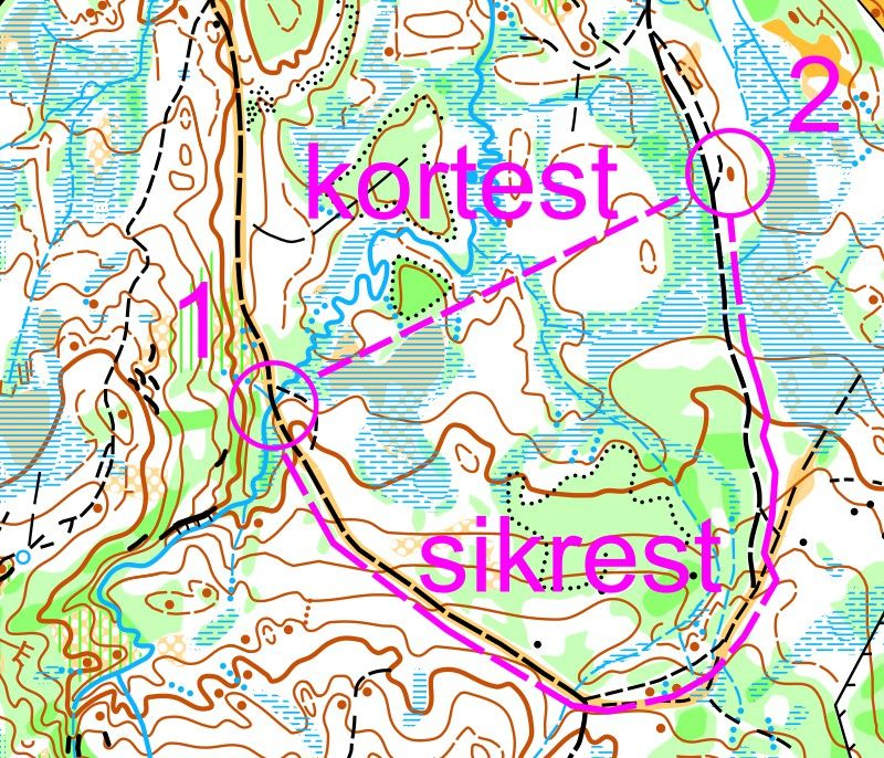 Kartutsnitt med angivelse av kortest og sikrest vei.