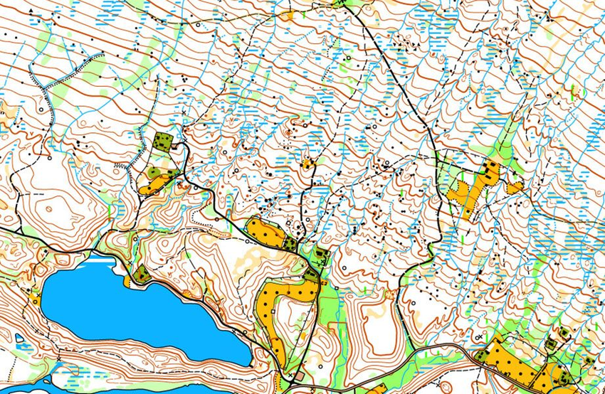 kartutsnitt målestokk 1:15 000