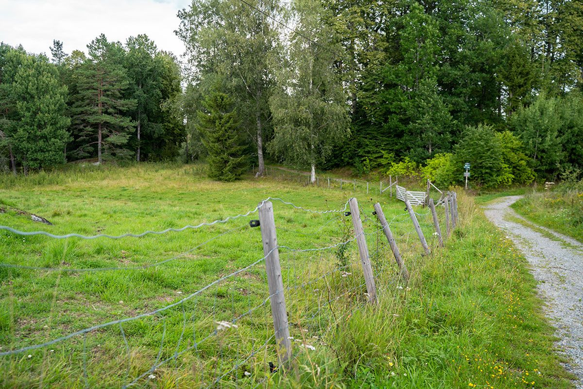 bilde av et enkelt strømgjerde