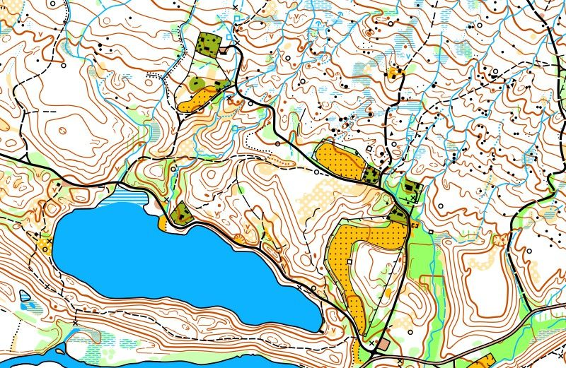 kartutsnitt målestokk 1: 10 000